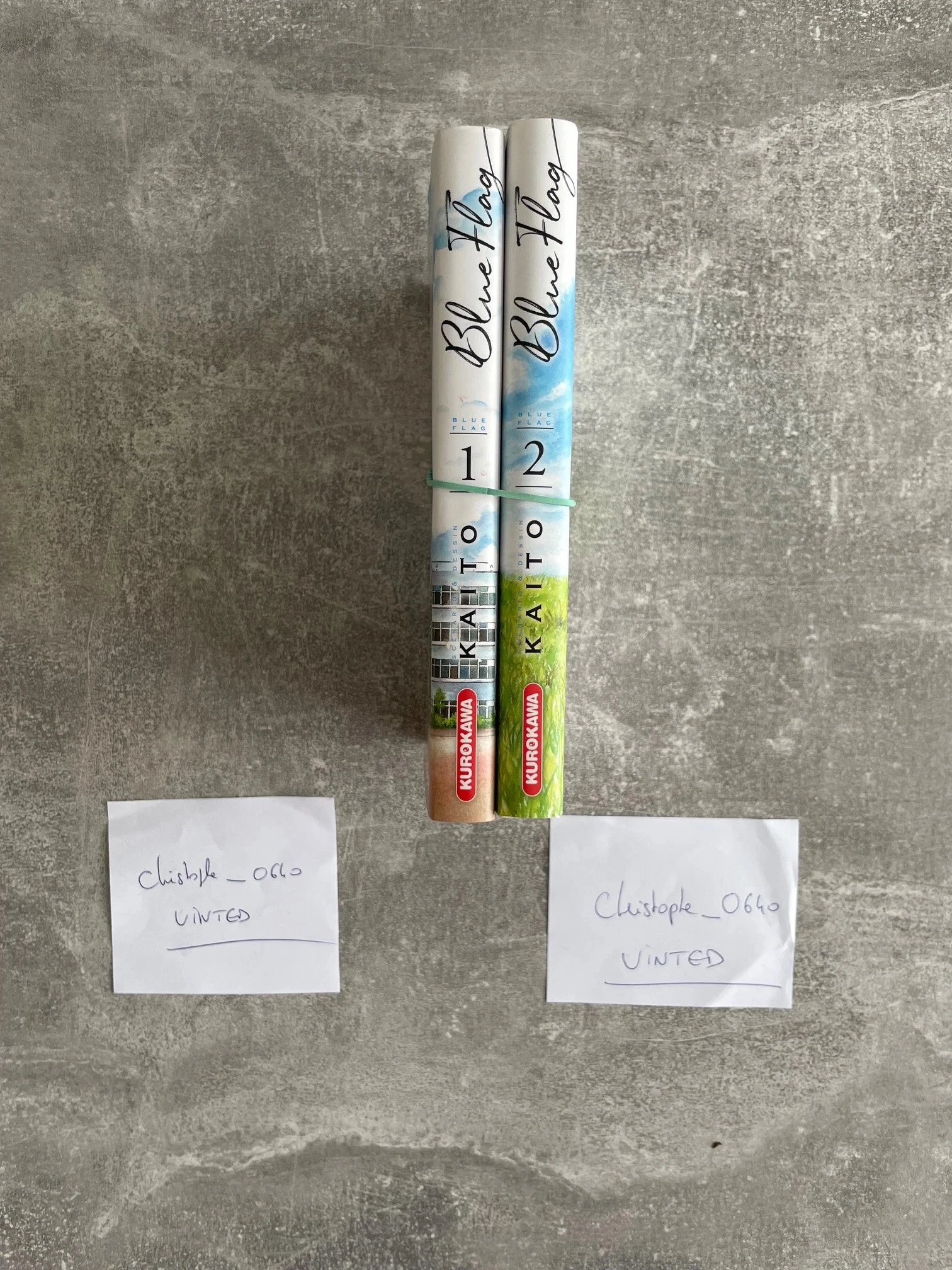 Lot of 2 Blue flag mangas, volumes 1 and 2 in French version. – photo 3